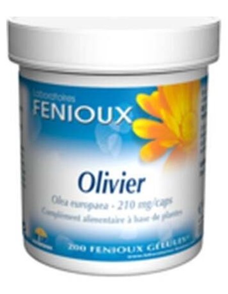 Olivo 200Cap. de Fenioux