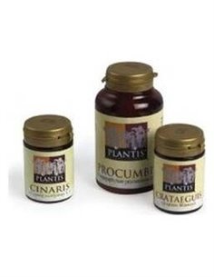 Cinaris Alcacho. Plantis 60Cap de Artesania