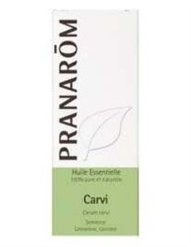 Carvi Alcaravea Aceite Esencial Alimentario 10Ml. de Terpenic