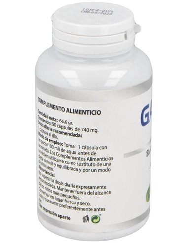 Gaba 550Mg. 90Cap. de Besibz