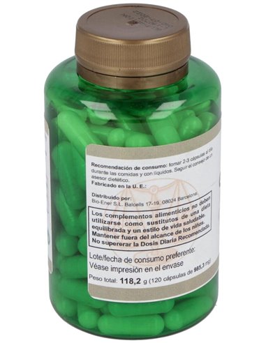 Glut-Action 120Cap. de Ortocel Nutri-Therapy