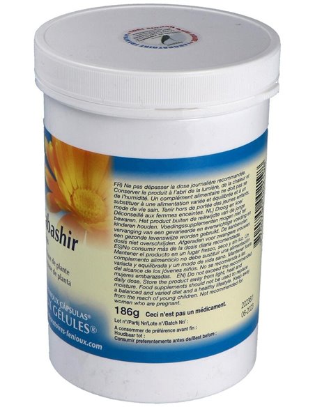 Bambu Tabasir 540Cap. de Fenioux