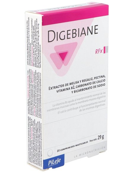 Digebiane Rfx 20 comp mast de Pileje