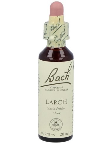 (19) Larch  de Bach