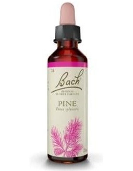 Flores Bach Pine Pino Silvestre 20Ml. de Flores Bach Origina