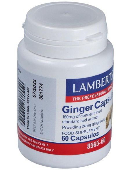 Jengibre 14.400 mg (24 mg de gingeroles) de Lamberts