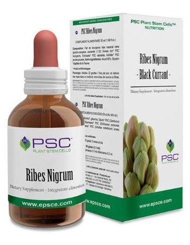 Psc Ribes Nigrum 15Ml. de Forza Vitale