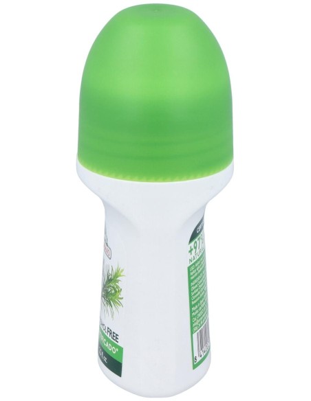 Desodorante Roll-On Arbol Del Te 75Ml. de Corpore Sano