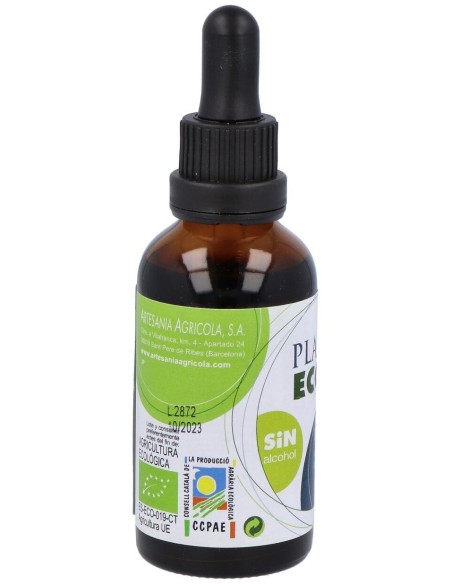 Ext Llanten Eco S/Alc Plantis de Artesania