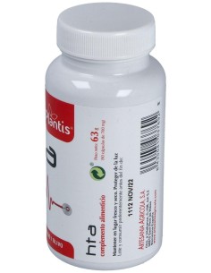 Hta Plantis 90 Cap. de Artesania 2