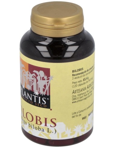 Bilobis Ginkgo Plantis 120 Cap de Artesania