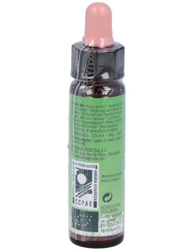 Nº4 Tem. Inseguridades Eco10Ml de Artesania