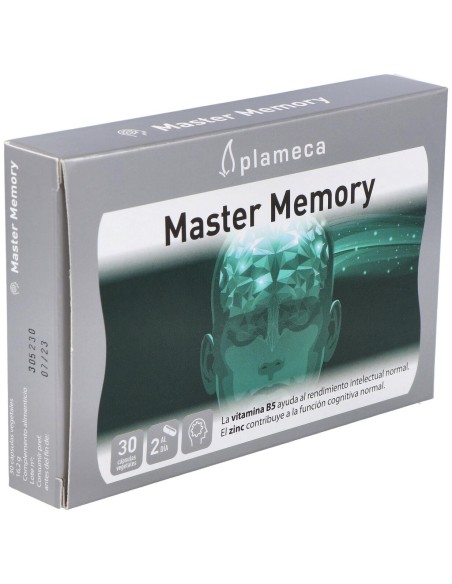 Master Memory 30Cap. de Plameca