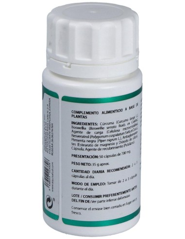 Holofit Curcuma Plus 50Cap. de Equisalud