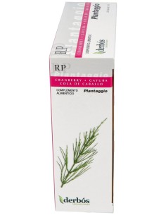 Plantaggio Rp 20Amp. de Derbos 2