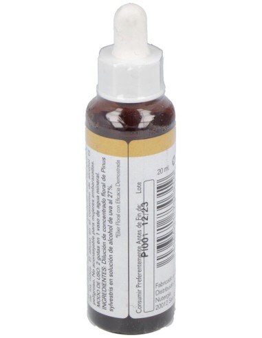 Pine 20Ml. de Elidyn