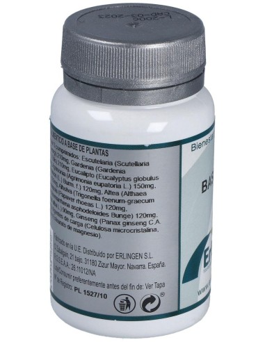 Base 2P 60Comp. de Erlingen