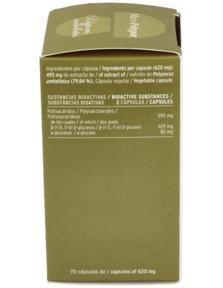 Mico Polypor (Polyporus) Hdt 70Cap. de Hifas Da Terra - Hdt