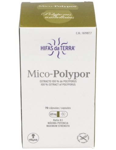 Mico Polypor (Polyporus) Hdt 70Cap. de Hifas Da Terra - Hdt