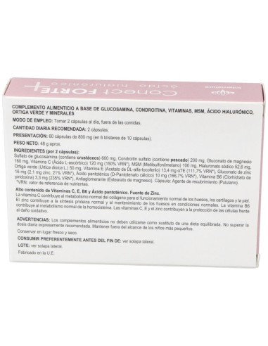Conect Forte 60Cap. de Internature
