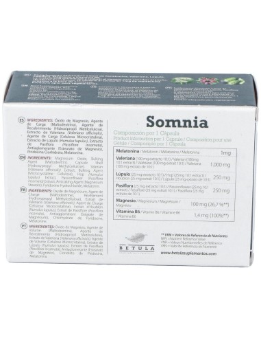 Somnia 30Cap. de Betula