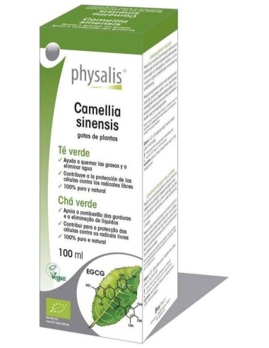 Ext. Te Verde (Camelia Sinensis) 100Ml. Bio de Physalis