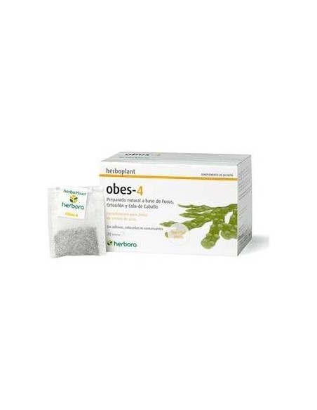 Obes-4  de Herbora