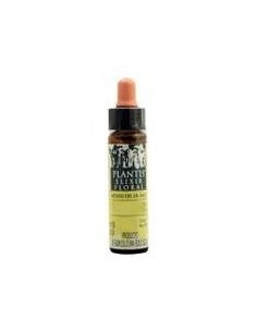 Sauce-38 Eco Plantis 10 Ml de Artesania 2