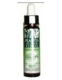Nº3 Examen Eco Plantis 10 Ml de Artesania 2