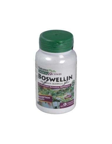 Boswellin 300Mg. 60Cap. Herbal Actives