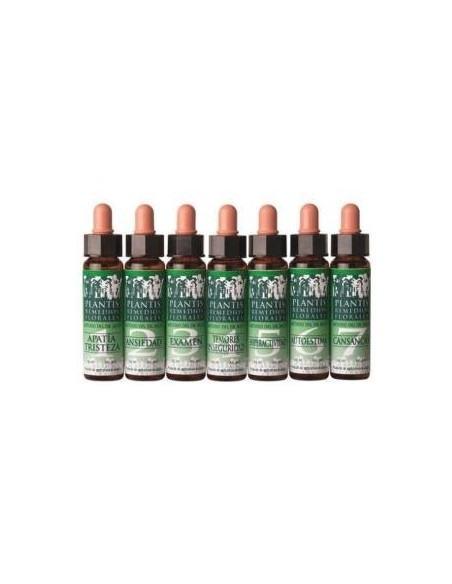 Remedio Plantis Nº 8 Descanso Nocturno 10Ml. Eco de Artesania