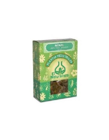Nogal Planta 40 Gramos El Naturalista