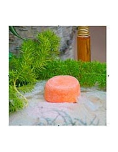 Champu Solido Volumen 85Gr. de Nitx