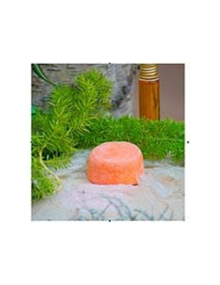 Champu Solido Volumen 85Gr. de Nitx