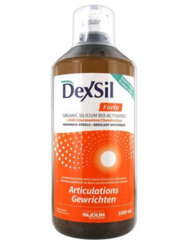 Articulaciones Forte MSM 1L Dexsil – Apoyo Articular Efectivo