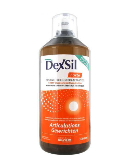 Articulaciones Forte MSM 1L Dexsil – Apoyo Articular Efectivo