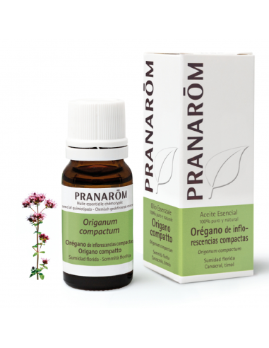 Oregano De Inflorescencias Compactas 10 Ml de Pran