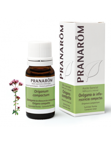 Oregano De Inflorescencias Compactas 10 Ml de Pran