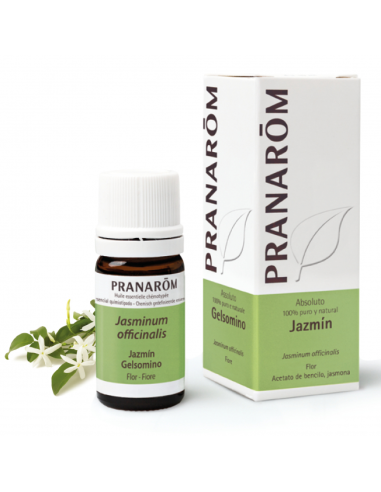 Pranarom Jasmine Absolute Oil 5ml – Pure Aromatherapy Essence