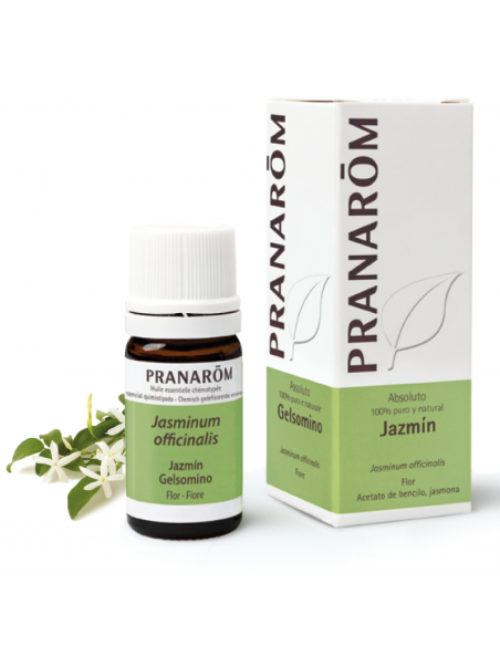 Pranarom Jasmine Absolute Oil 5ml – Pure Aromatherapy Essence
