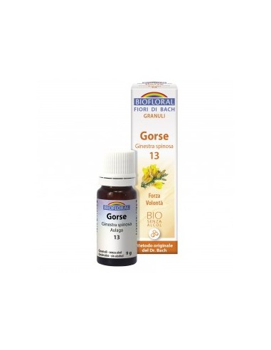 Flores de Bach Gorse 13 Aulaga Bio 9g - Gránulos Naturales