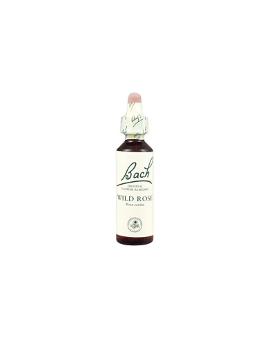 Wild Rose de Bach: Equilibrio emocional natural y bienestar