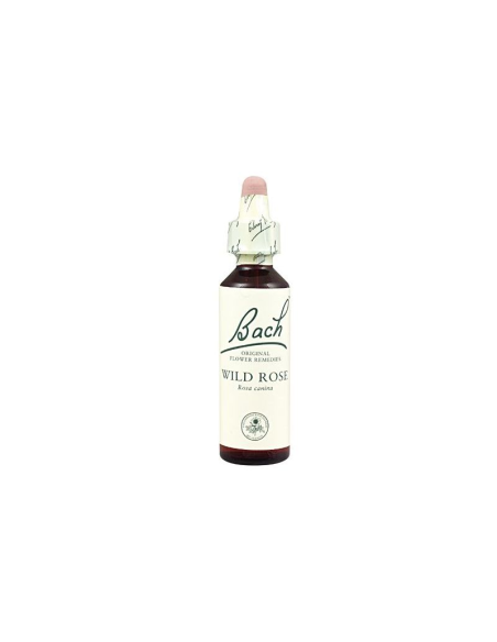 Wild Rose de Bach: Equilibrio emocional natural y bienestar