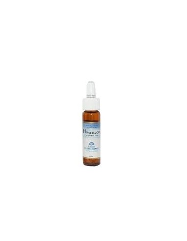 Fiori Mediterranei Madressilva 10 ml – Essência Natural Forza Vitale
