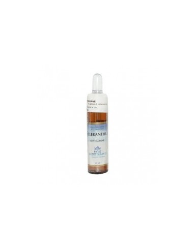 Fiori Mediterranei White Chestnut 10 Ml de Forza Vitale