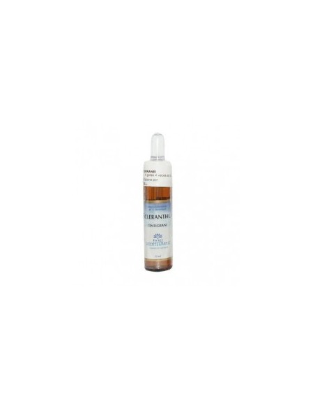 Fiori Mediterranei White Chestnut 10 Ml de Forza Vitale
