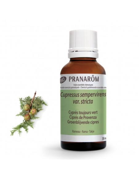 Ciprés de Provenza Rama Bio 30 ml - Pranarom Aromaterapia