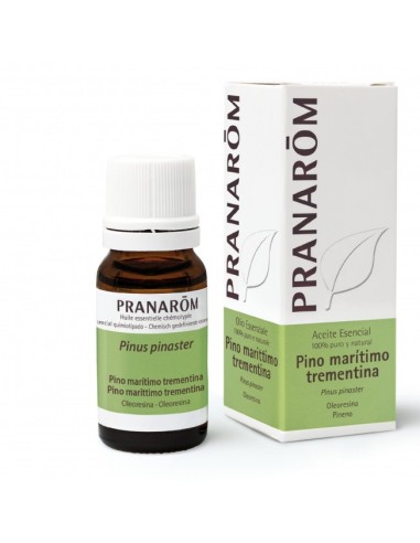 A Esencial Pino Maritimo Oleoresina Bio 10 Ml de Pranarom