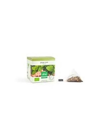 Jengibre Menta Infusion 15Piramides. Eco Vegan Alma Home