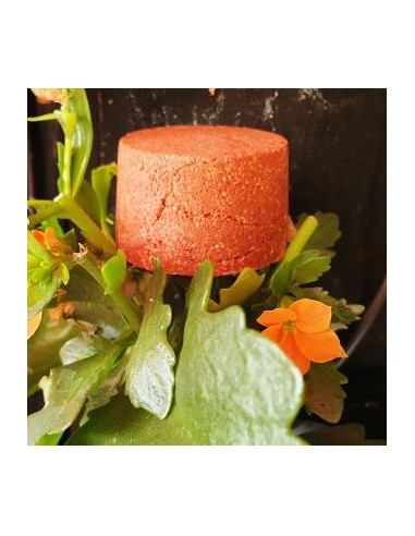 Champu Solido Cabellos Rojizos 85Gr. de Nitx